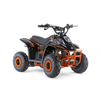 ATV 001 6"