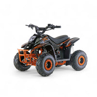 ATV 001 6"