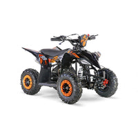MINI ATV M1B 6"