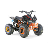 ATV 004 8"