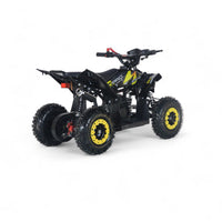 MINI ATV M1A 6"
