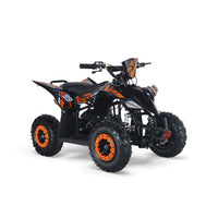 MINI ATV M1A 6"